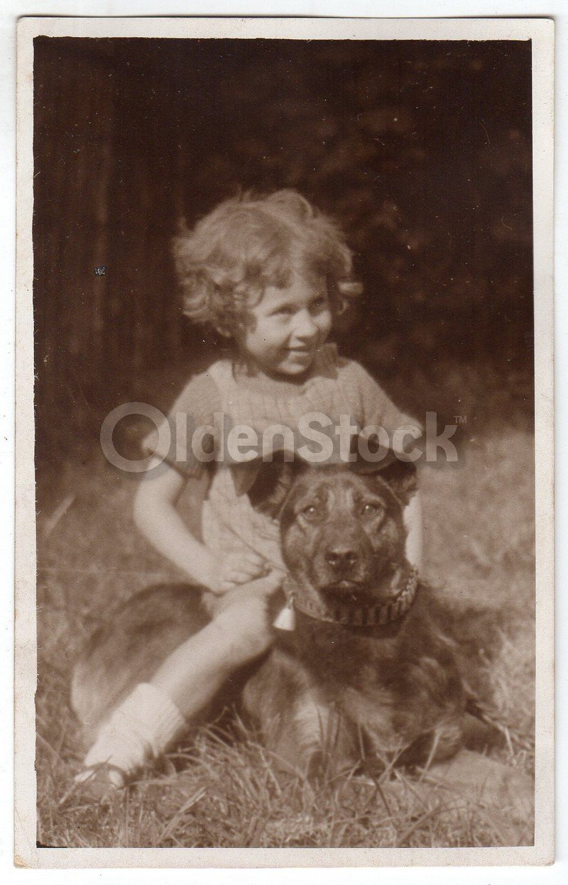 Cute Little Girl Riding Her Puppy Dog Vintage Real Photo Postcard