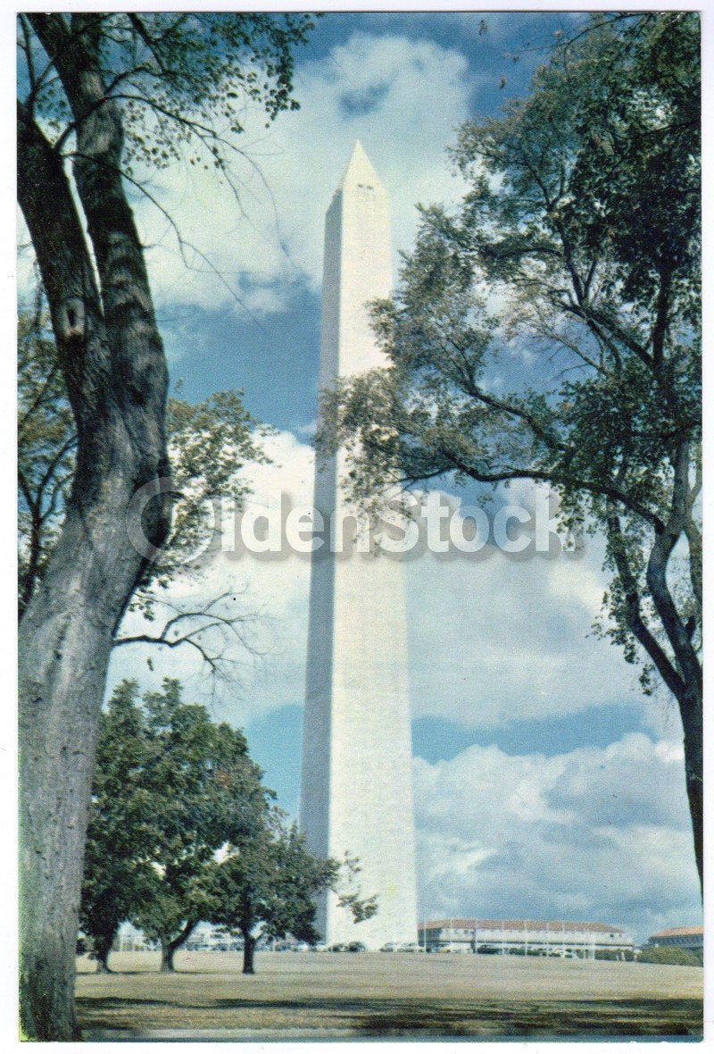 Washington Monument Washington DC Vintage 1950s Souvenir Jumbo Postcard