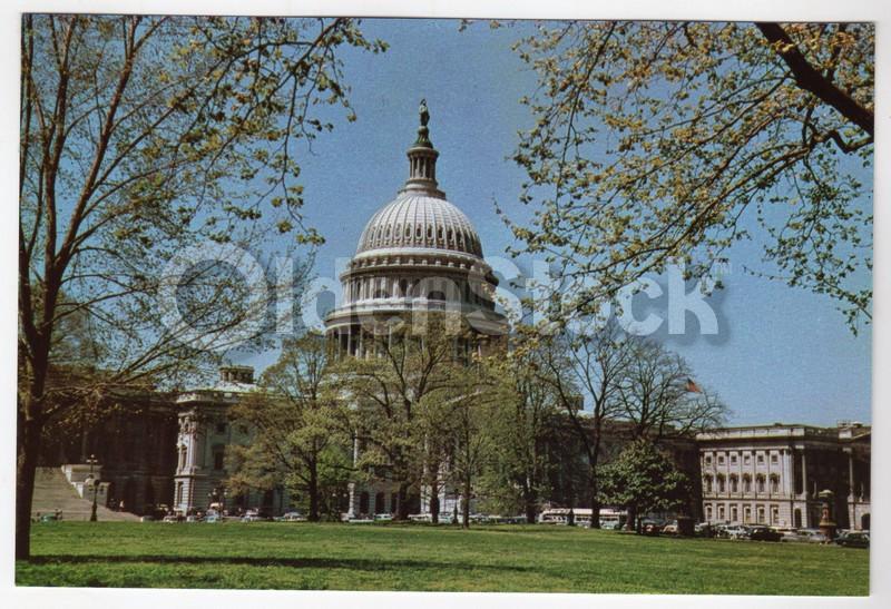U.S. Capitol Building Washington DC Vintage 1950s Jumbo Postcard